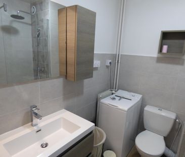 Location / Studio meublé - Photo 3