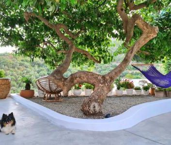 Villa - Ojen (Carretera de Ojén) - Photo 4