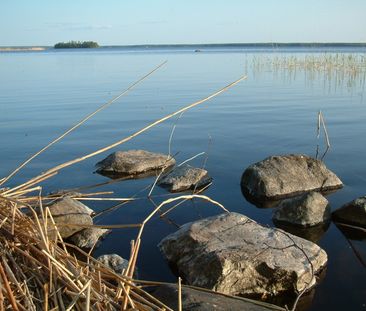 Blodriskegränd 8 B - Photo 3