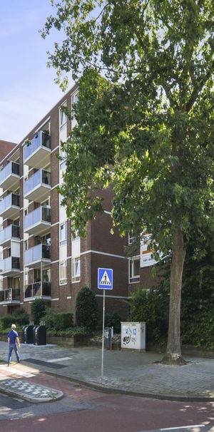 Mariabad 135 - Photo 1