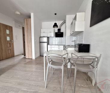 Wynajmę jasne 2 pokoje z balkonem, 2018 r, winda (434325) - Zdjęcie 5