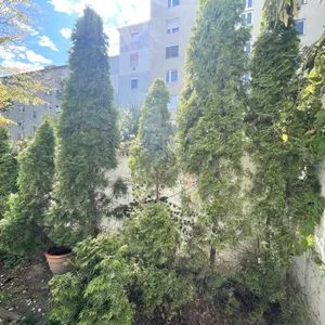 Wunderschöne 3-Zimmer-Wohnung mit kleinen GARTEN im 21. Bezirk! - Foto 3