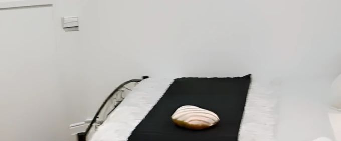 5 bed 2 bath+study - Photo 1