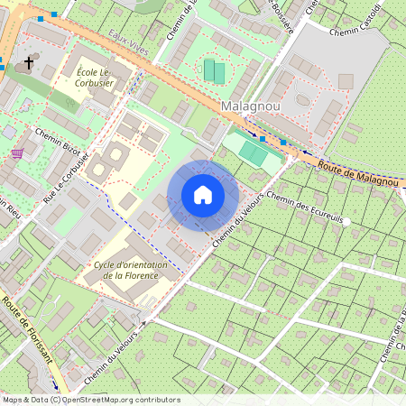 Chemin de la Florence, 1208 Genève