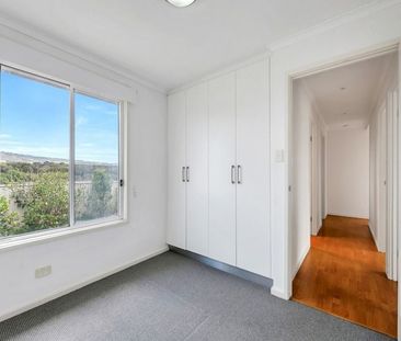 8A Albatross Av, Chiton SA 5211 - House For Rent | Domain - Photo 3