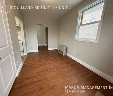 RENOVATED 1-BEDROOM/1-BATH MAIN FLOOR SUITE ON DROUILLARD+HYDRO - Photo 3