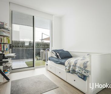 3 Bedroom + Study Apartment - Great Location! - Photo 4