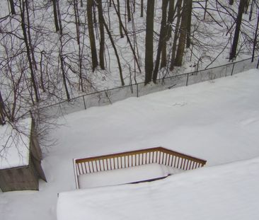 For Lease - 830 Birchwood Drive, Midland, Ontario - Photo 5