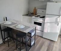 Fully Furnished Studio 1 washroom for rent available April 1 - Photo 2