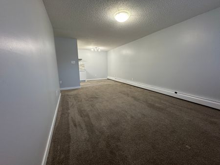 2 Weeks Free RENOVATED 1-Bedroom Apartment - SMALL PET FRIENDLY! - Photo 2