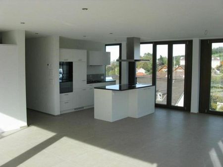 Spezielle 4 1/2-Zimmer-Wohnung mit schöner Terrasse - Foto 2