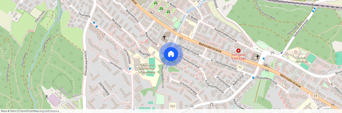 Erchenbühlstrasse 49, Erchenbühlstrasse 49, Zurich