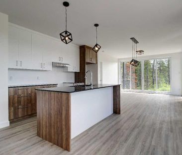 Spacieux 3 1/2 à louer à Sherbrooke - Photo 2