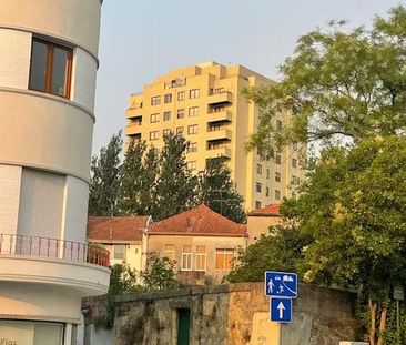 Rua da Constituição, Porto, Braga 4250 - Photo 4