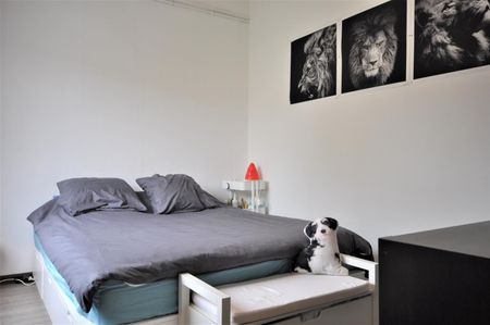 Bungalow te huur in Drongen - Photo 3