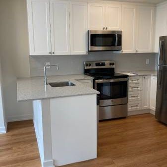 BBQ Area, LVP flooring, Quartz countertops - Photo 3