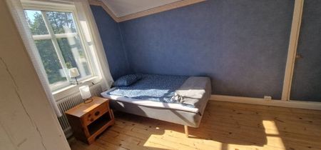 Fikonstigen, Boden - Foto 3