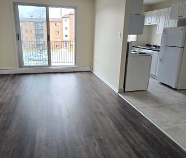 223 Windmill Road Dartmouth Waterfront | Upgraded Waterfront 1-Bedr... - Photo 5