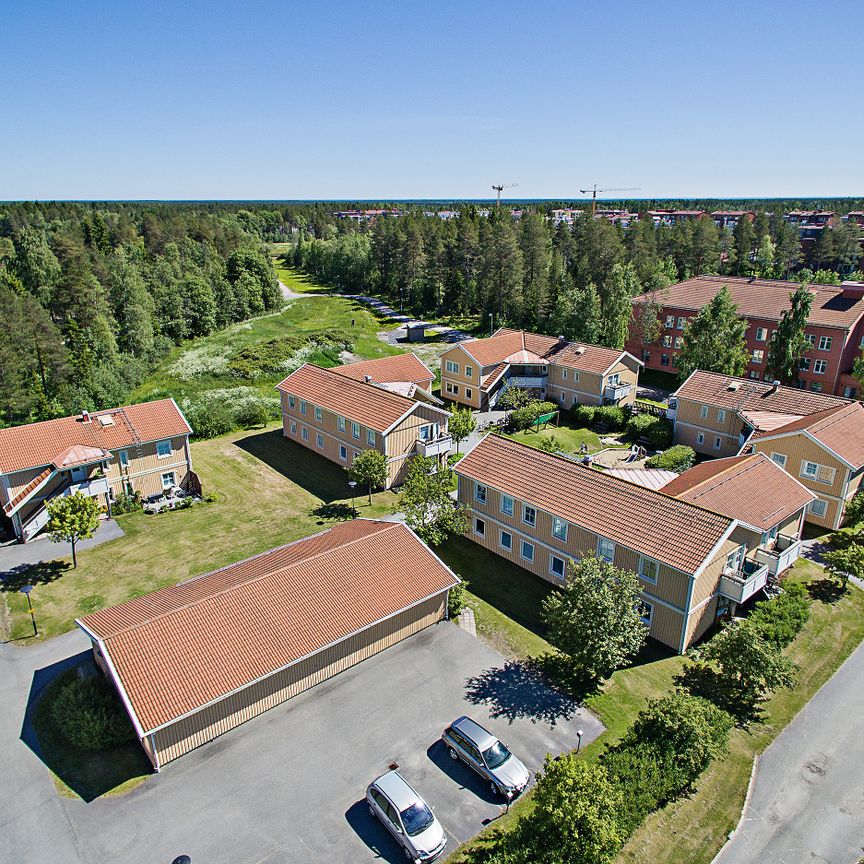 Vittervägen 268, Umeå - Foto 1