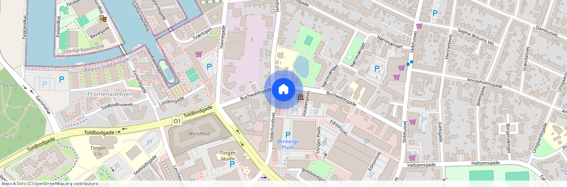 Tolderlundsvej 19, 4.2, 5000 Odense C