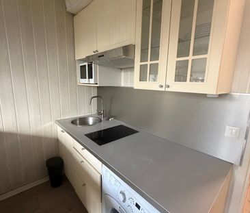 Location Appartement 1 pièce 16m² VERSAILLES 78000 - Photo 3