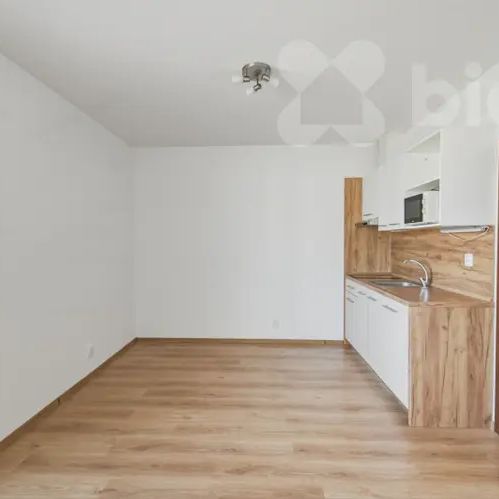 Pronájem bytu 1kk / B, 33 m - Fotografie 1