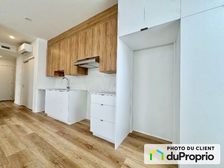 1225, Marie Anne Est, Le Plateau-Mont-Royal à louer - Photo 3