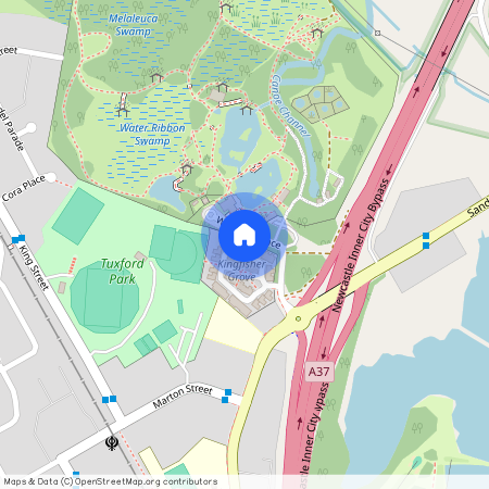 39 Kestrel Circuit, Shortland 2307, New South Wales