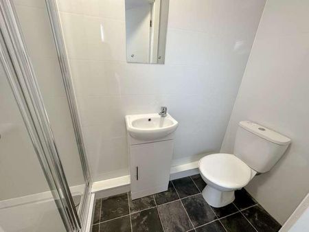 Wrenbury Street, L7 - Photo 4