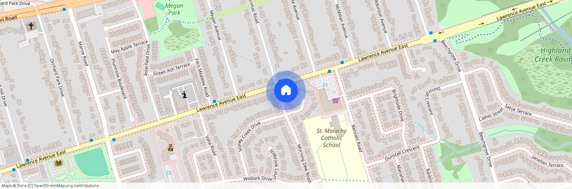 73 Morning Dew (Basement) Road, Toronto