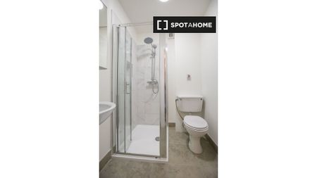 Serviced studio apartment for rent in St Stephen's Green, D2 - Photo 2