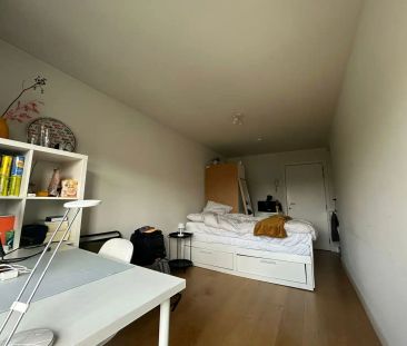 Kamer eigen sanitair en terras - Central Park - Foto 3