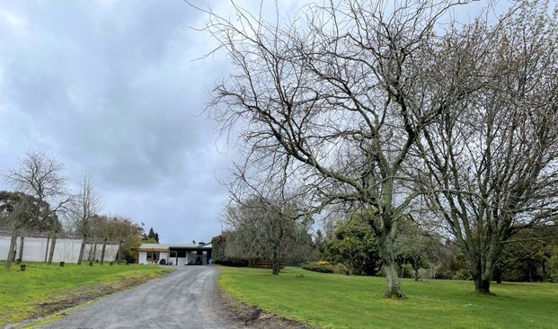 Peaceful in the Country - Te Puke - Photo 1