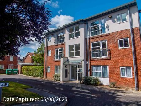 4 Tandem Place - Photo 2