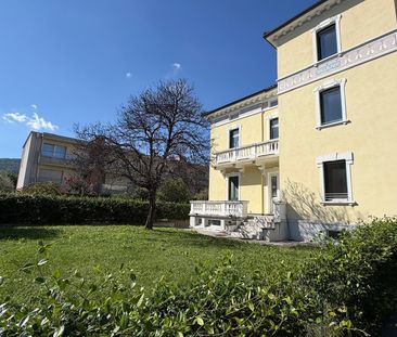 2.5 Zimmer, EG - Foto 6