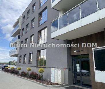 Parkitka, Częstochowa - Фото 4