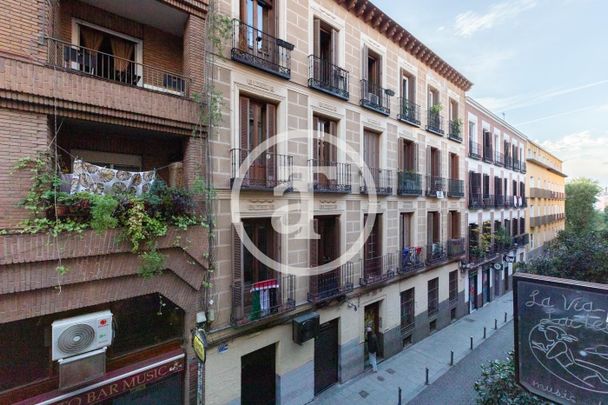 Estudio de alquiler en Calle de Velarde, 18, Universidad - Malasaña - Photo 1