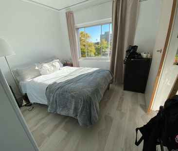 Renovated one bedroom near Balmoral beach - Photo 5