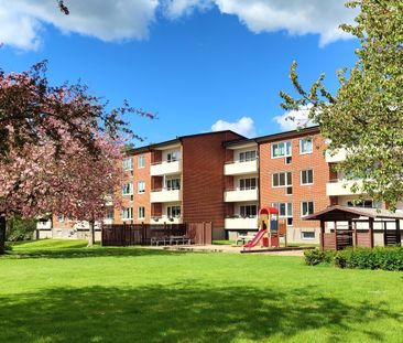 Sonnarpsvägen, Örkelljunga - Foto 5