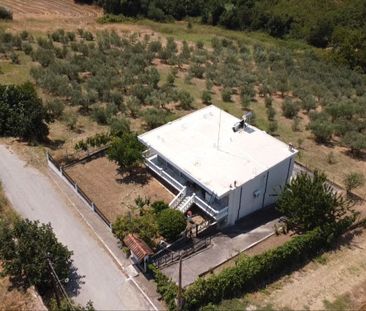 Μονοκατοικία για ενοικίαση Σφενδάμι (Πύδνα) - Φωτογραφία 4