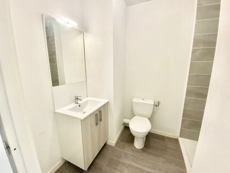 Location Appartement 1 pièce 19m² AUZEVILLE TOLOSANE 31320 - Photo 5