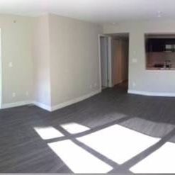 1BR/1Bath/Den/Flex/Laundry - Photo 4