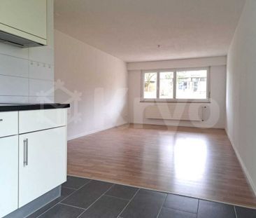 RENOVATED APARTMENT WITH TERRACE AND ELEVATOR - Photo 1