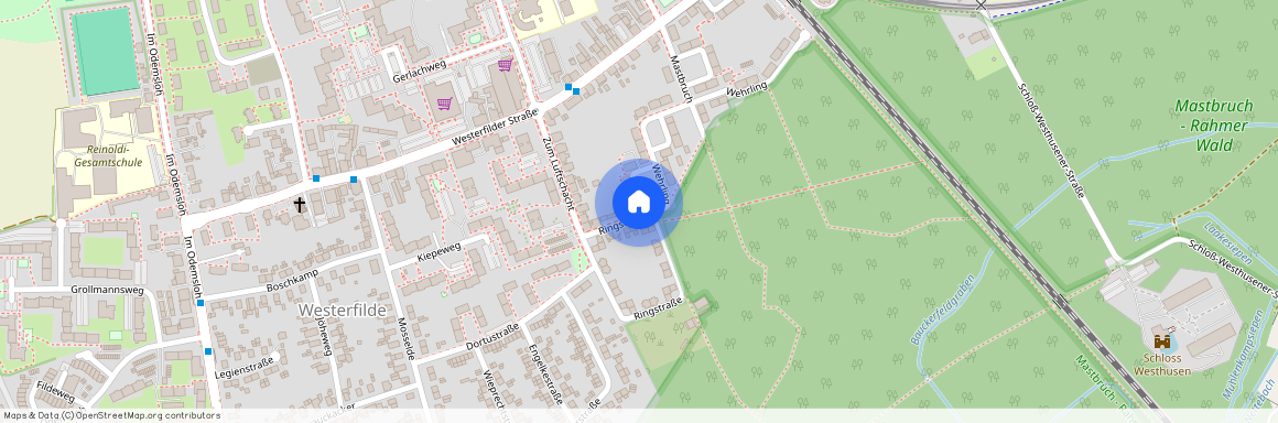 Ringstraße 2, 44357 Dortmund OT Westerfilde