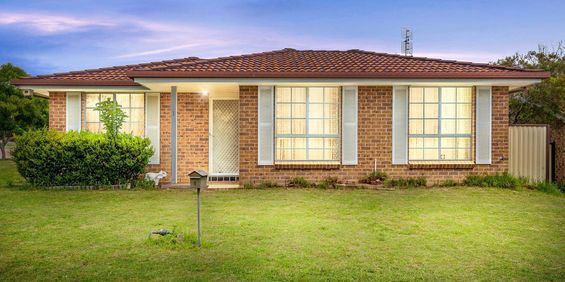 The Ultimate Entertainer - Photo 3