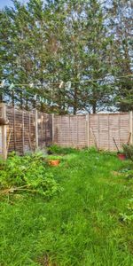 1 bedroom house to rent - Photo 4