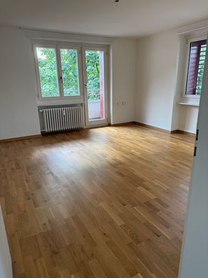 Top Lage: Helle 3-Zimmerwohnung nahe Bahnhof Pratteln - Photo 1