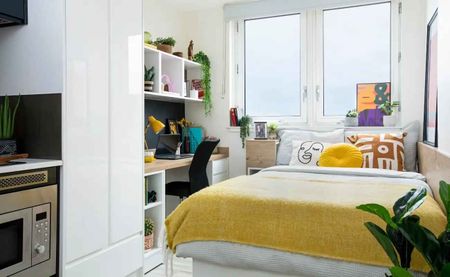 Classic Studio - Photo 3