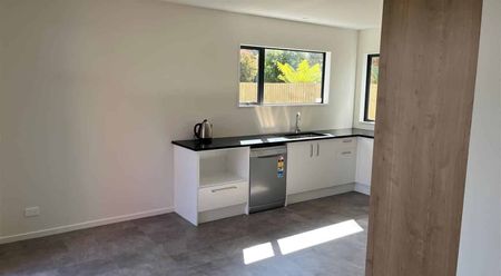 Stand-Alone Modern Sunny 3-Bedroom Townhouse - Photo 4