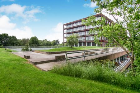 1 bedroom apartment to rent - Photo 5